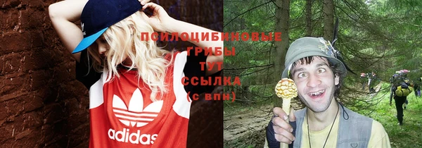 экстази Вяземский