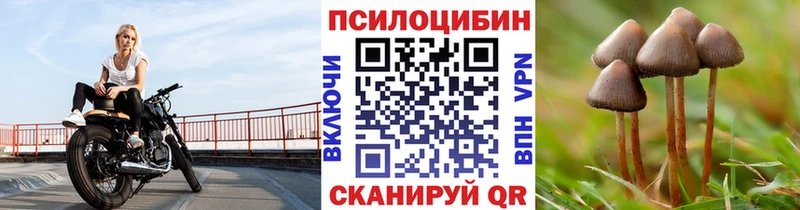 Псилоцибиновые грибы Psilocybe  где можно купить наркотик  Гаврилов Посад 